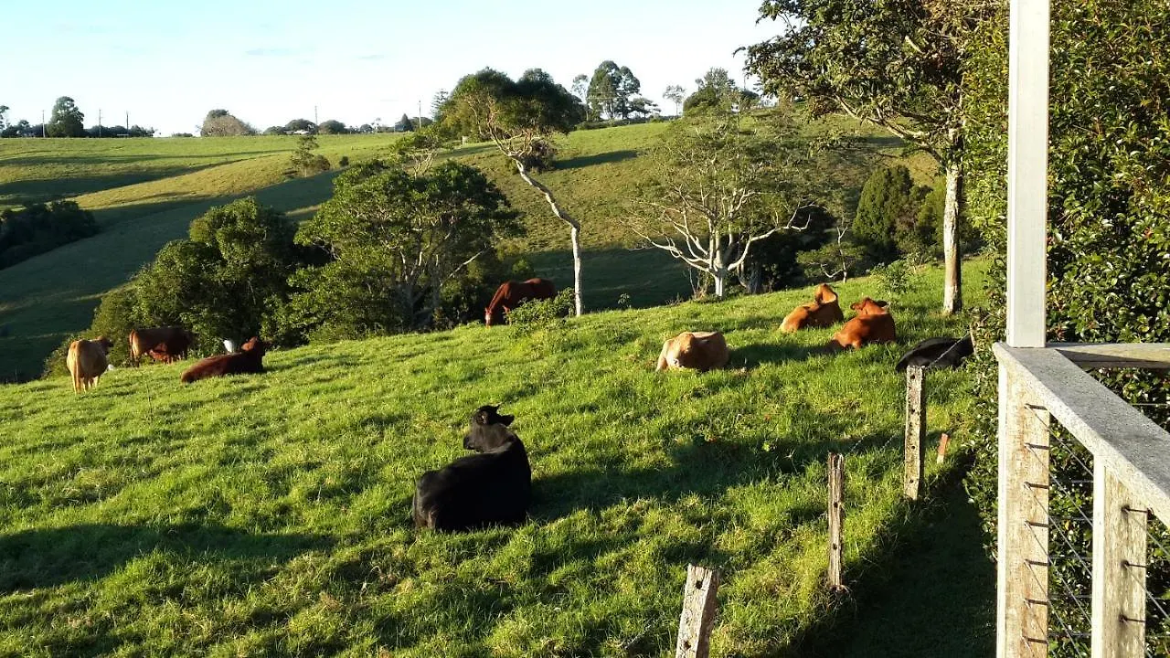 Alojamento de Acomodação e Pequeno-almoço 
